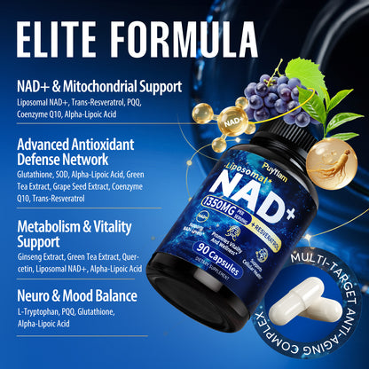 Puyflam NAD+ Supplement