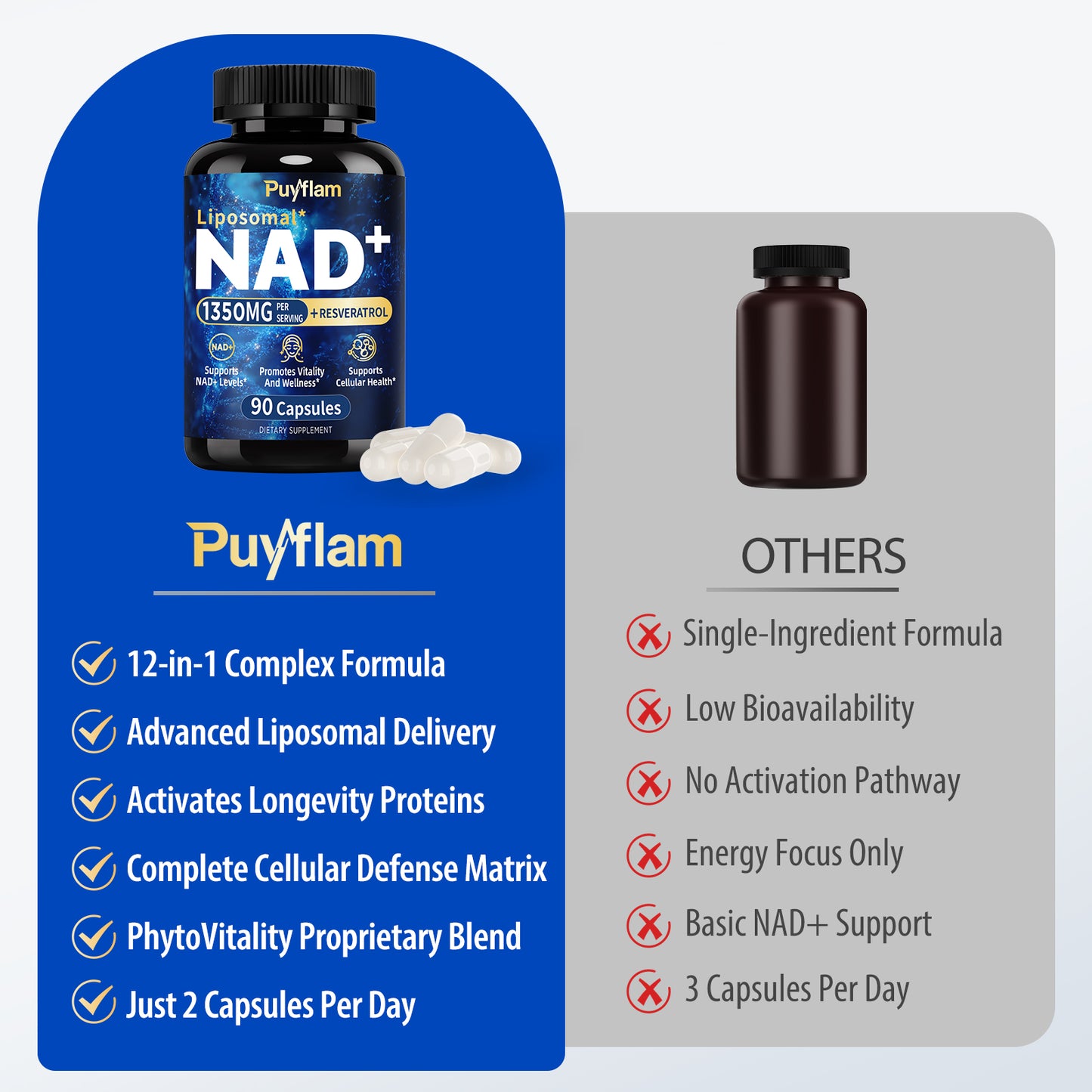Puyflam NAD+ Supplement